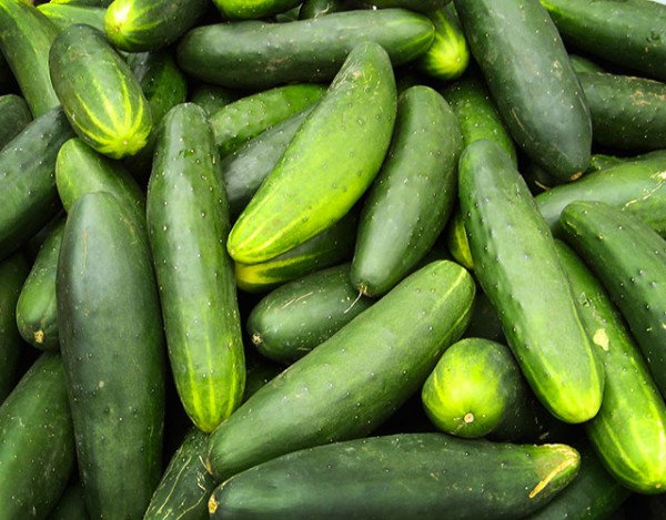 O pepino é um dos vegetais mais consumidos do mundo e destaca-se por suas inúmeras propriedades e benefícios à saúde