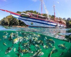 Água cristalina e é comum a presença de peixes 