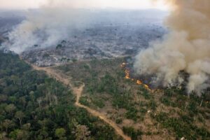 Área da floresta Amazônica pegando fogo