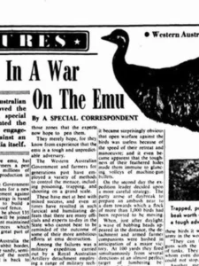 Sim, a Austrália declarou guerra a pássaros e perdeu.