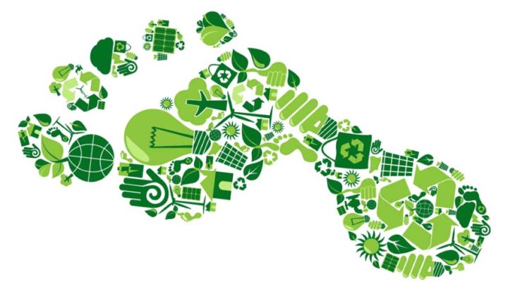 Você já parou para pensar no tamanho real do seu impacto no planeta? Entender como reduzir a pegada de carbono deixou de ser apenas uma preocupação ambiental e se tornou uma necessidade de sobrevivência coletiva.