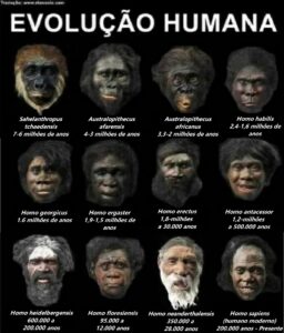 Descubra a evolução humana ao longo do tempo, da pedra lascada à era digital. Linha do tempo completa, agricultura, arte e ciência.