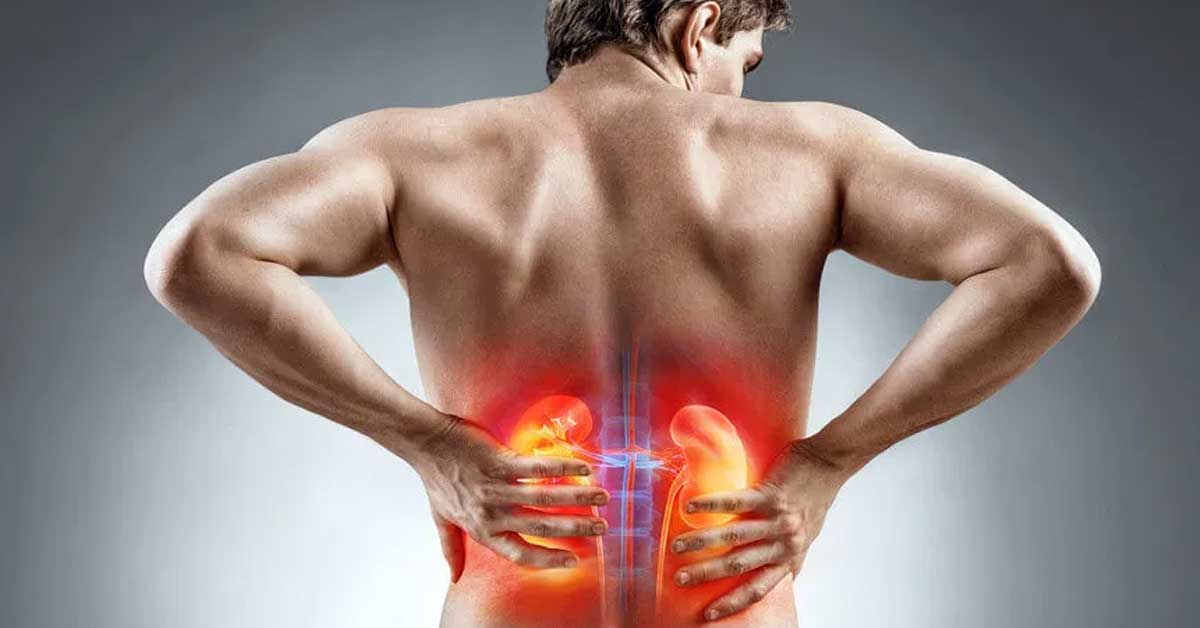 Descubra como identificar a doença renal silenciosa, quais são os sinais de alerta e como proteger seus rins com hábitos simples e exames preventivos.
