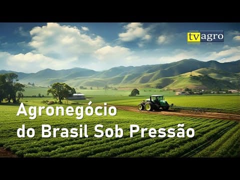 Agricultura Sob Pressão. O clima na agricultura afeta safras, preços e segurança alimentar. Entenda como eventos extremos impactam a produção