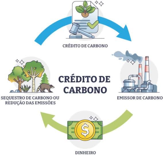 Entenda como funciona o mercado global de créditos de carbono, quem participa, quais são seus benefícios, desafios e o potencial do Brasil