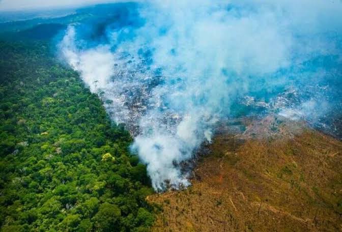 Entenda como a Amazônia influencia o clima, a produção de chuvas e o equilíbrio ambiental, além dos impactos das mudanças climáticas sobre a maior floresta tropical do planeta.