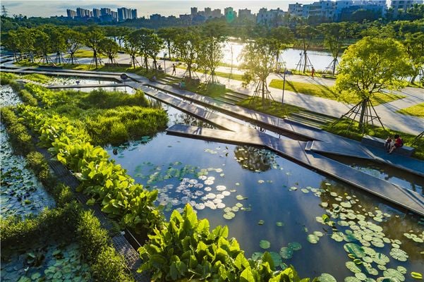 Descubra como cidades resilientes às mudanças climáticas podem enfrentar enchentes, secas e ondas de calor com planejamento e soluções sustentáveis.